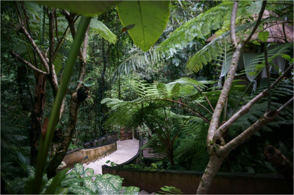 Villa Alam Culture And Residences Ubud